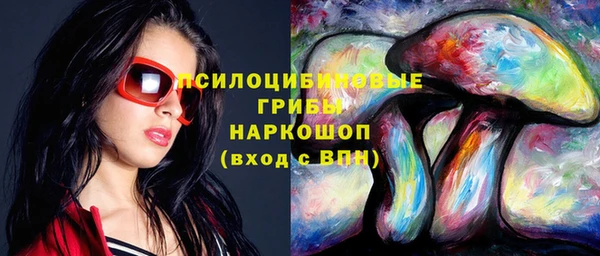 МДПВ Осташков